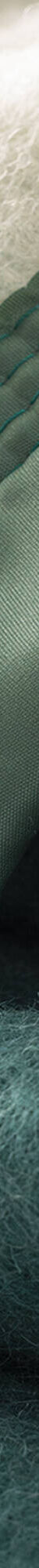 Couverture bicolore pure laine 800 g/m² (vert) Couverture bicolore pure laine 800 g/m² (vert)
